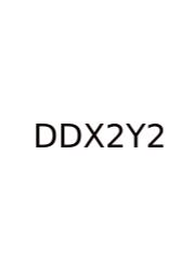 Dy Dx X 2 Y 2