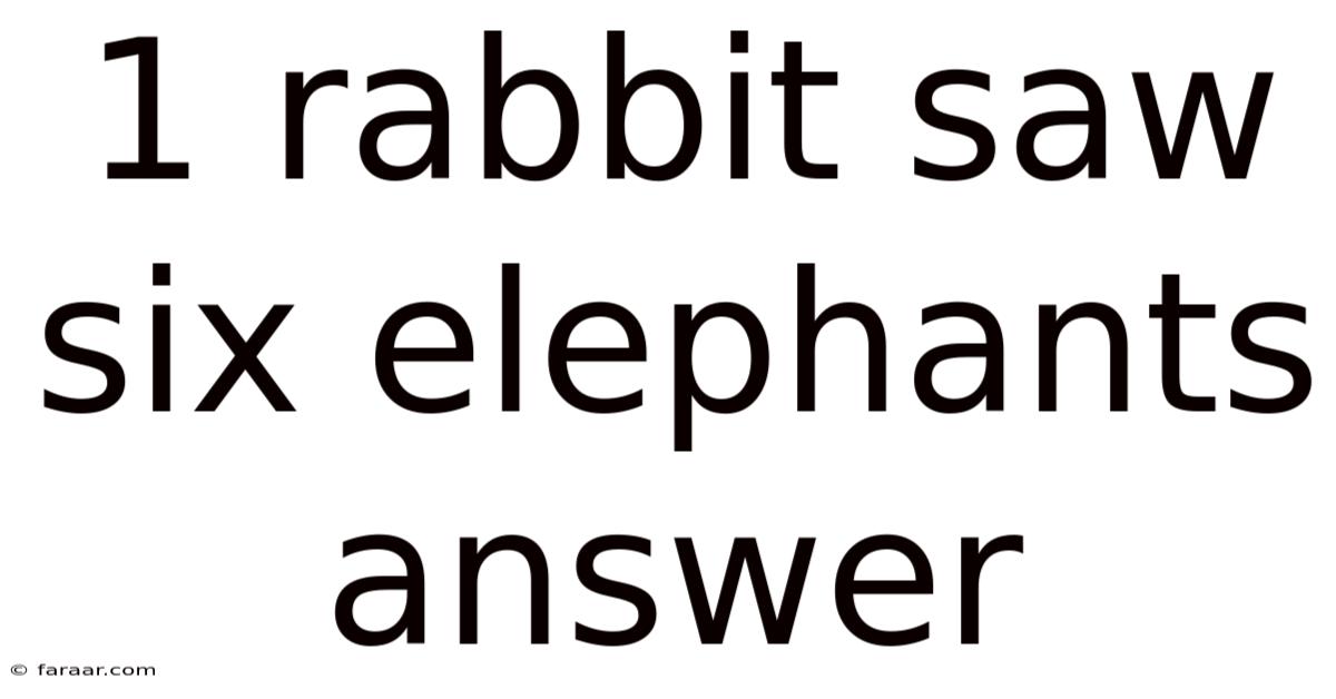 1 Rabbit Saw Six Elephants Answer
