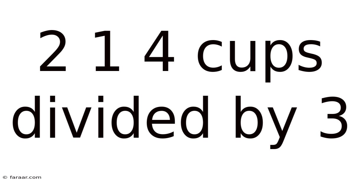 2 1 4 Cups Divided By 3