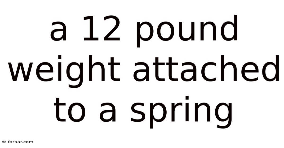 A 12 Pound Weight Attached To A Spring