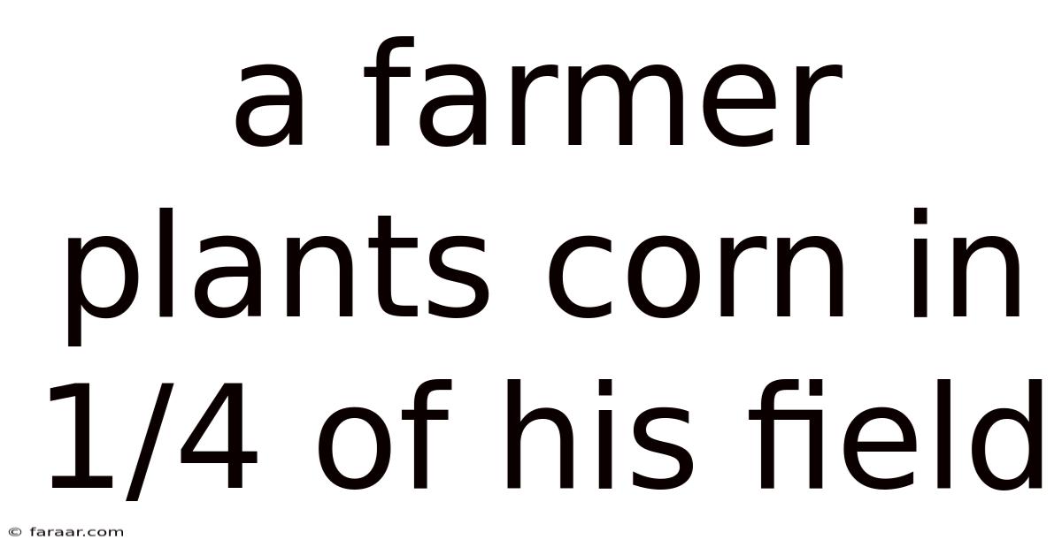 A Farmer Plants Corn In 1/4 Of His Field