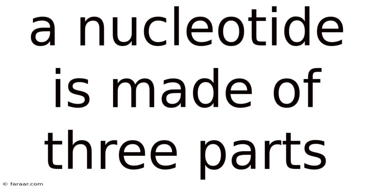 A Nucleotide Is Made Of Three Parts