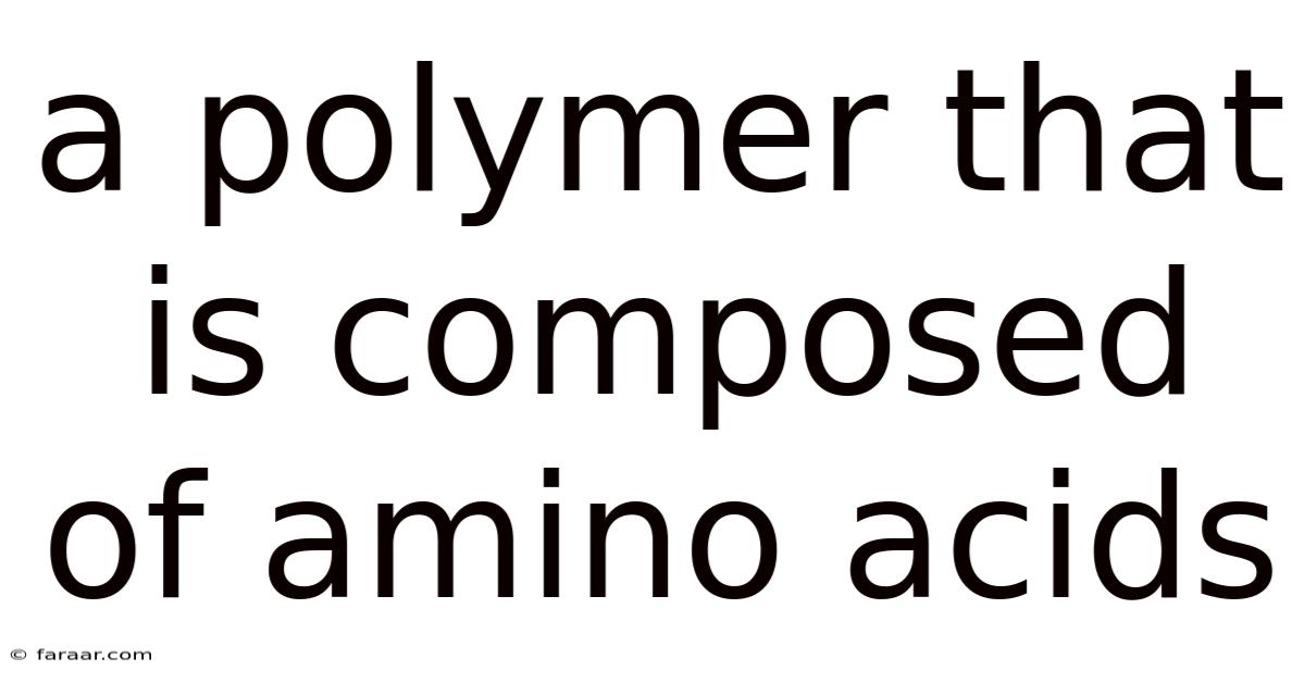 A Polymer That Is Composed Of Amino Acids