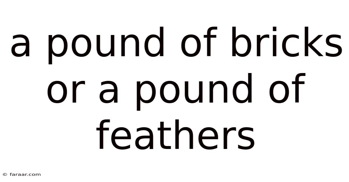 A Pound Of Bricks Or A Pound Of Feathers