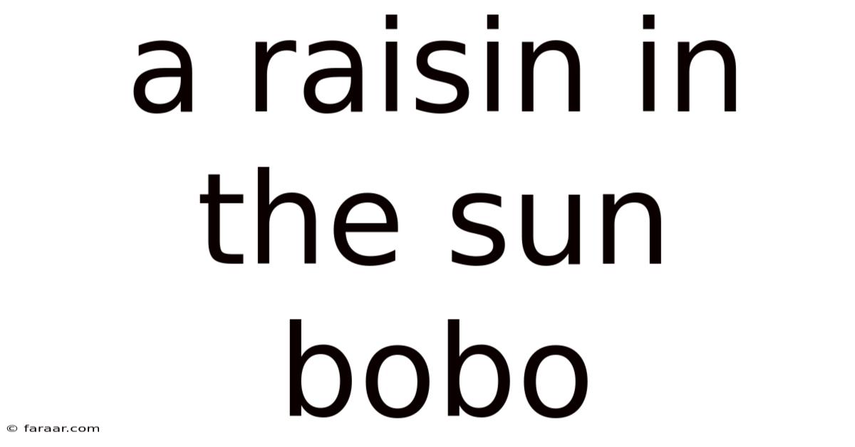 A Raisin In The Sun Bobo