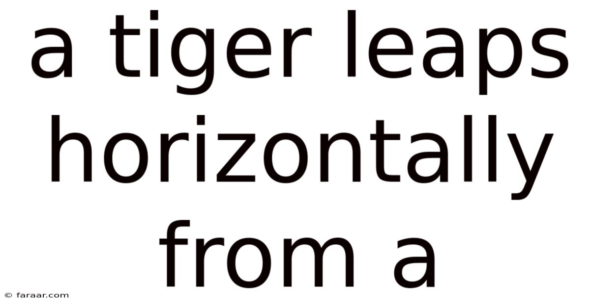 A Tiger Leaps Horizontally From A