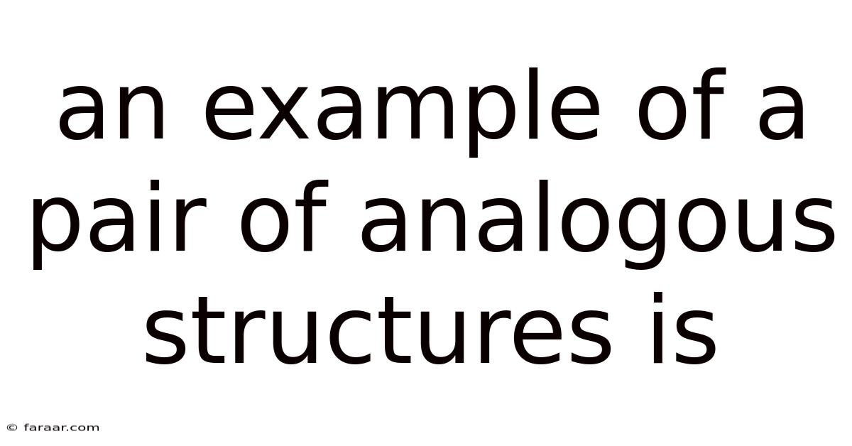 An Example Of A Pair Of Analogous Structures Is