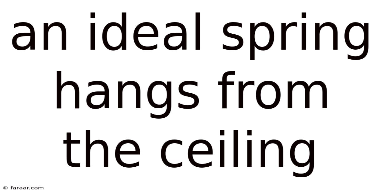 An Ideal Spring Hangs From The Ceiling