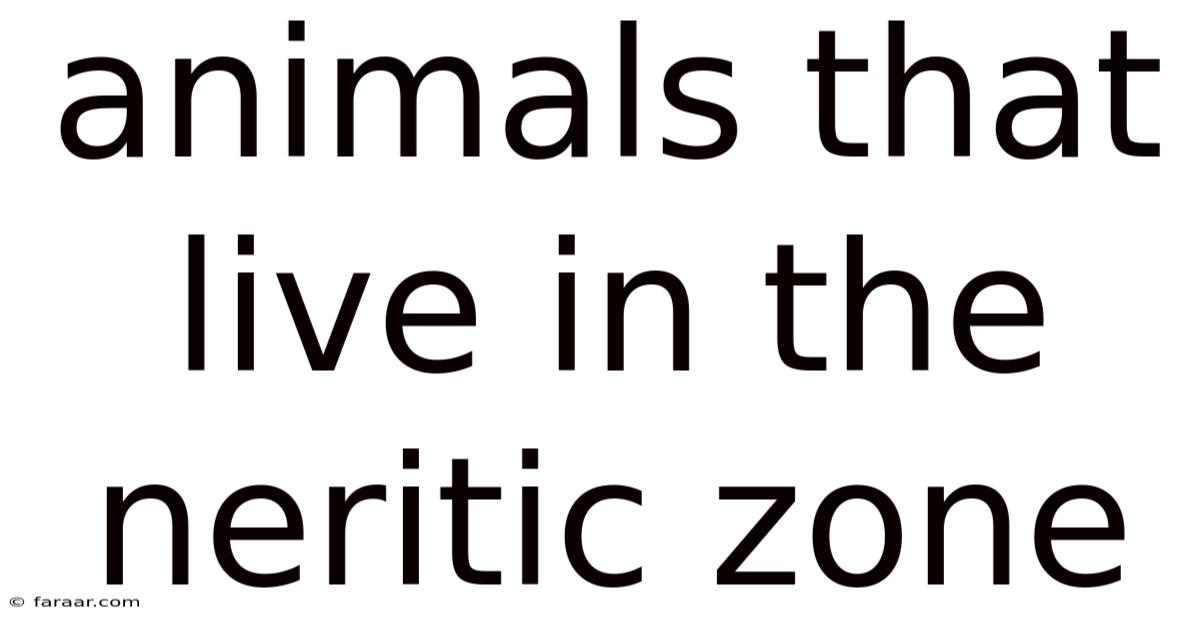 Animals That Live In The Neritic Zone
