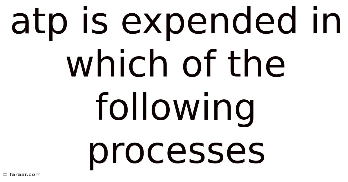 Atp Is Expended In Which Of The Following Processes