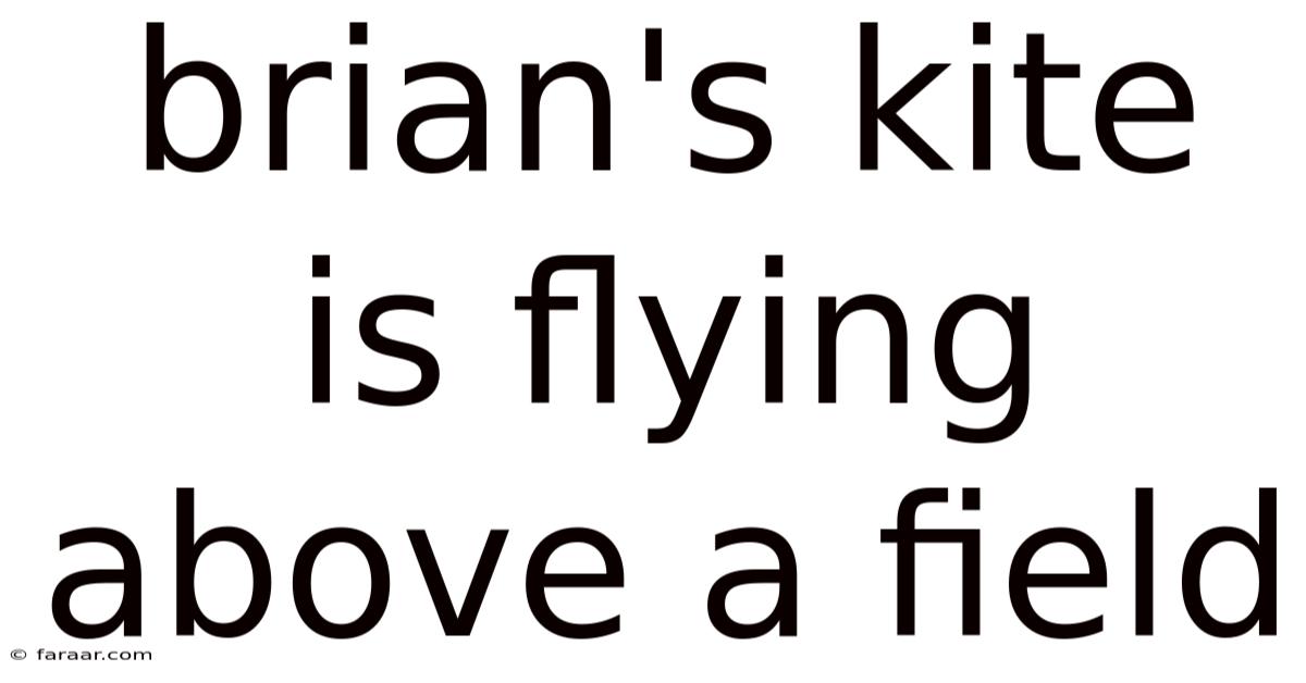 Brian's Kite Is Flying Above A Field