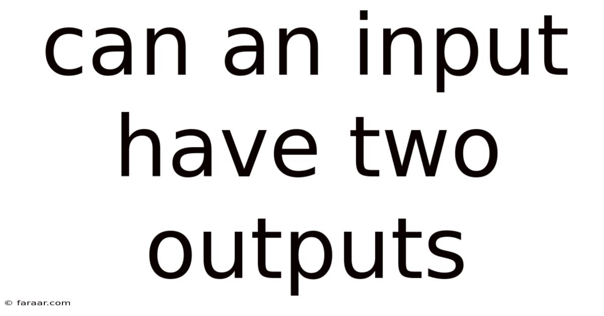Can An Input Have Two Outputs