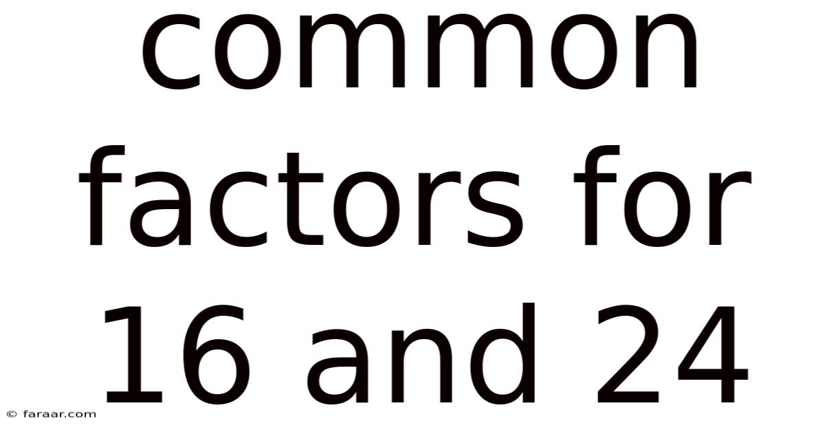 Common Factors For 16 And 24