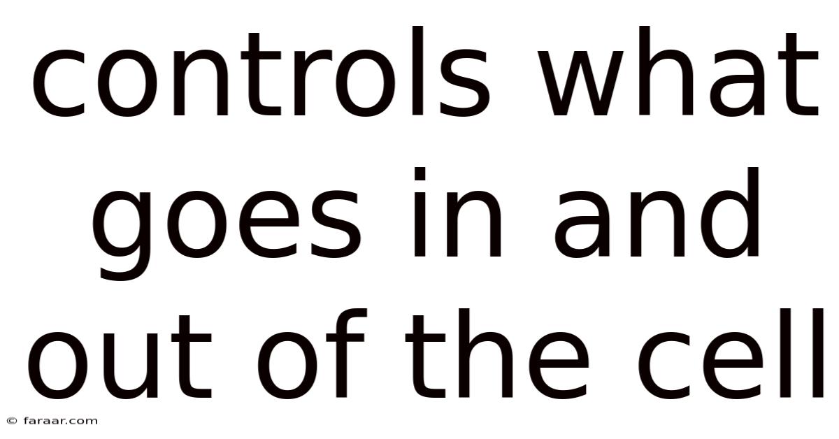 Controls What Goes In And Out Of The Cell