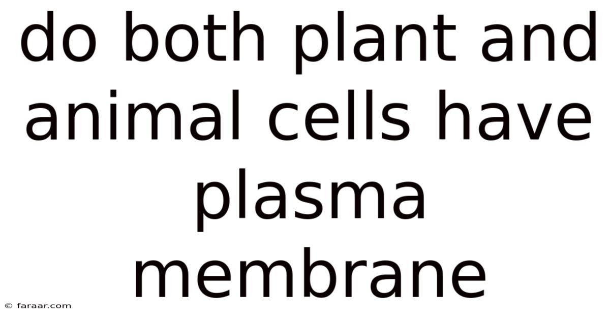 Do Both Plant And Animal Cells Have Plasma Membrane