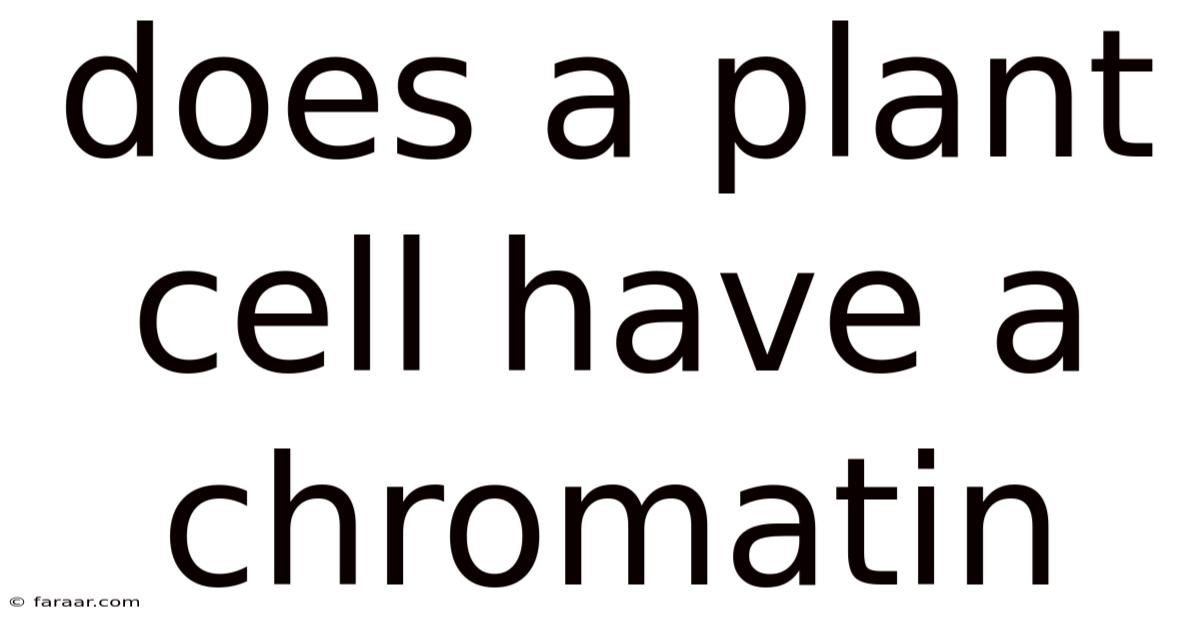 Does A Plant Cell Have A Chromatin