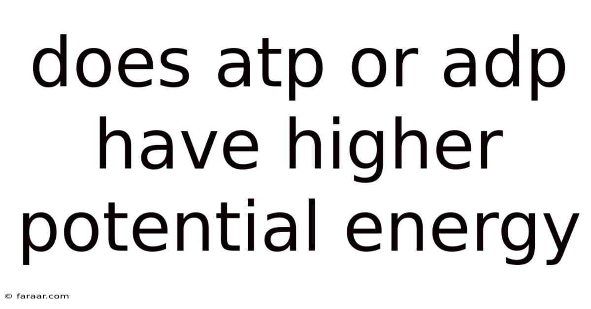 Does Atp Or Adp Have Higher Potential Energy