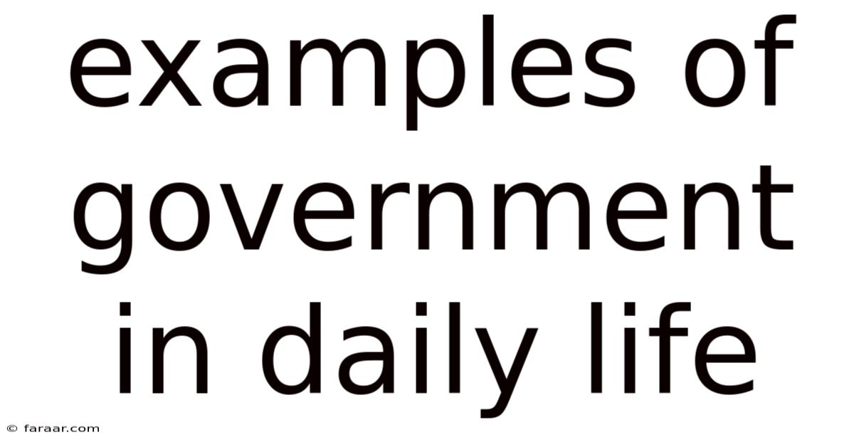 Examples Of Government In Daily Life