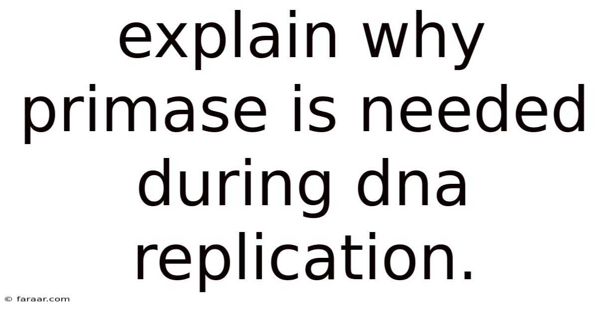 Explain Why Primase Is Needed During Dna Replication.