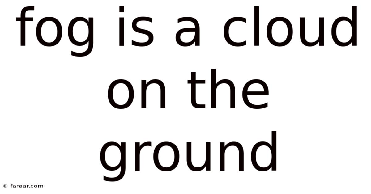 Fog Is A Cloud On The Ground