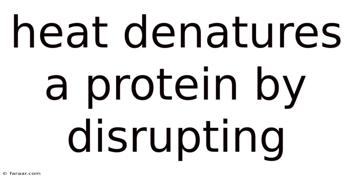 Heat Denatures A Protein By Disrupting