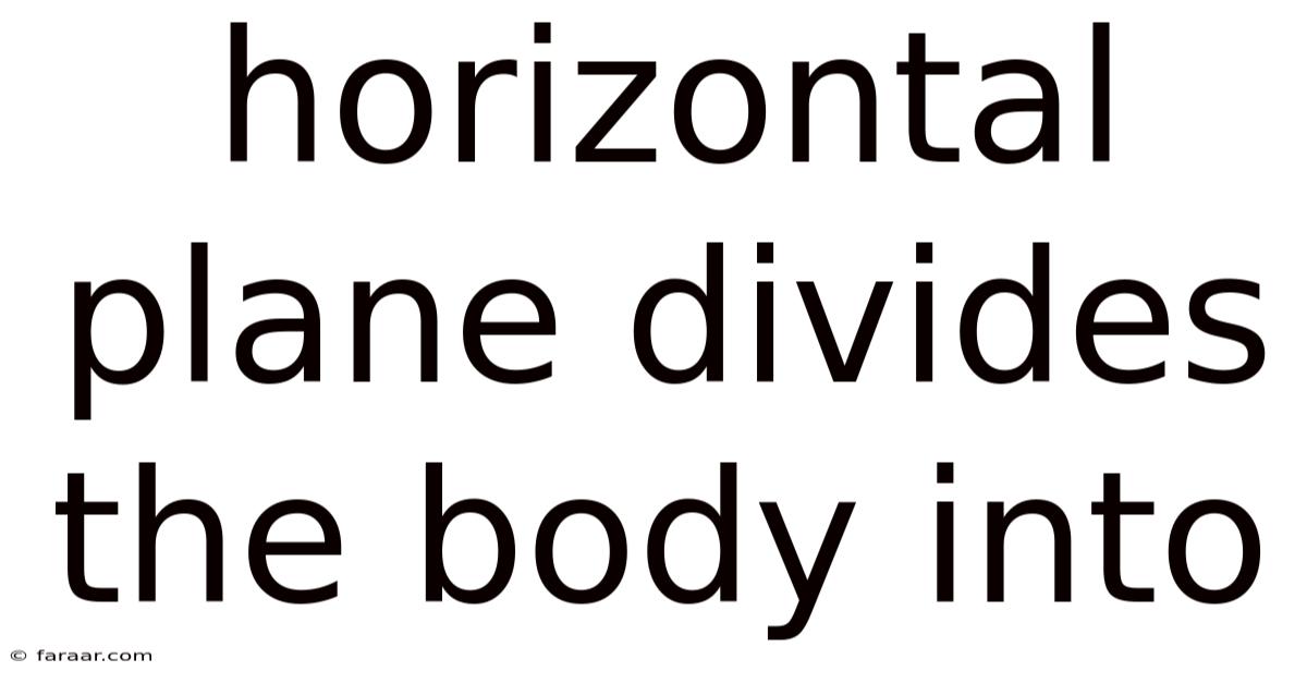 Horizontal Plane Divides The Body Into