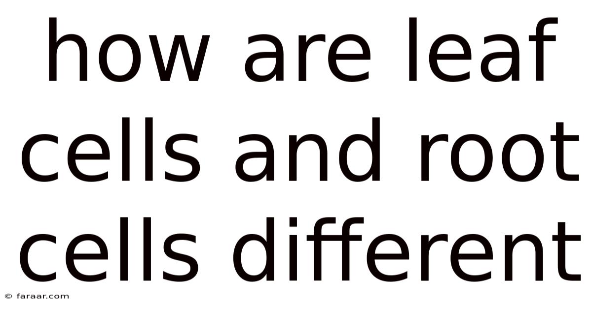 How Are Leaf Cells And Root Cells Different