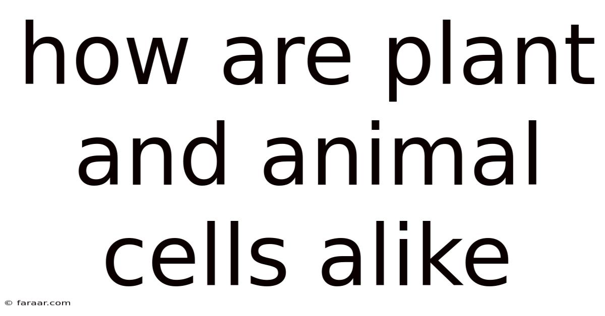 How Are Plant And Animal Cells Alike