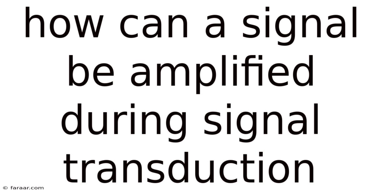 How Can A Signal Be Amplified During Signal Transduction