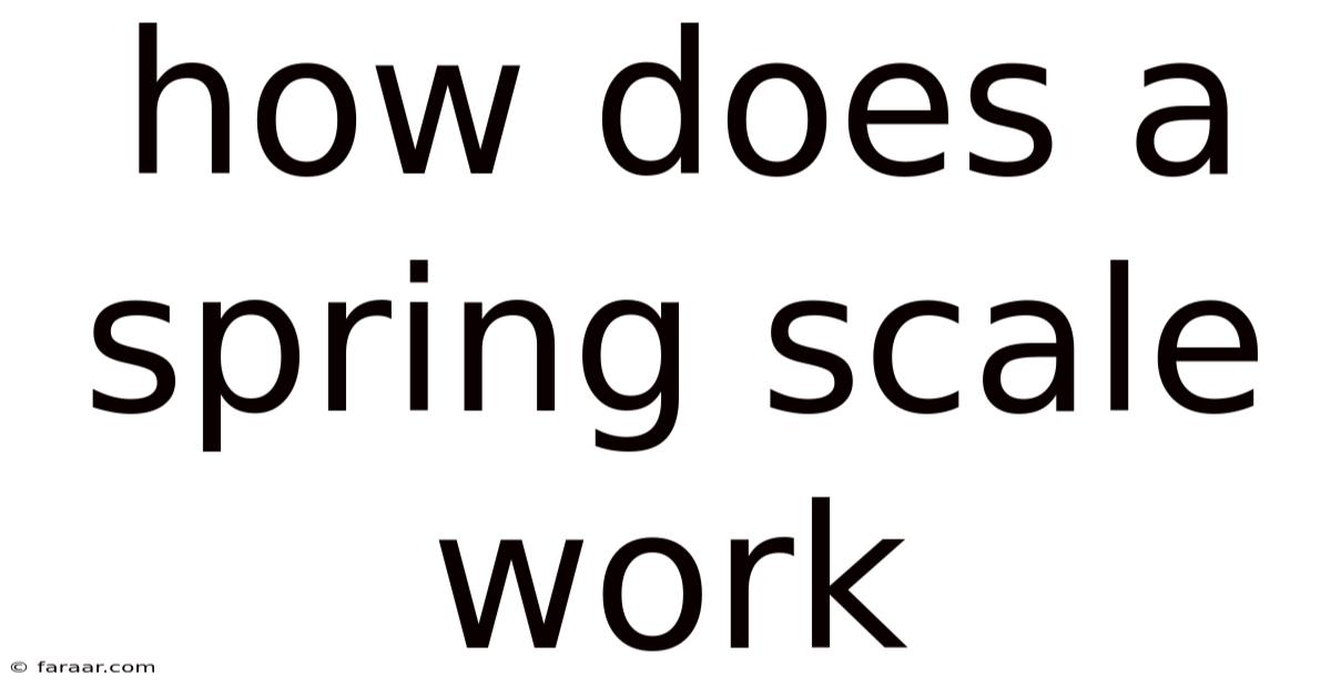 How Does A Spring Scale Work