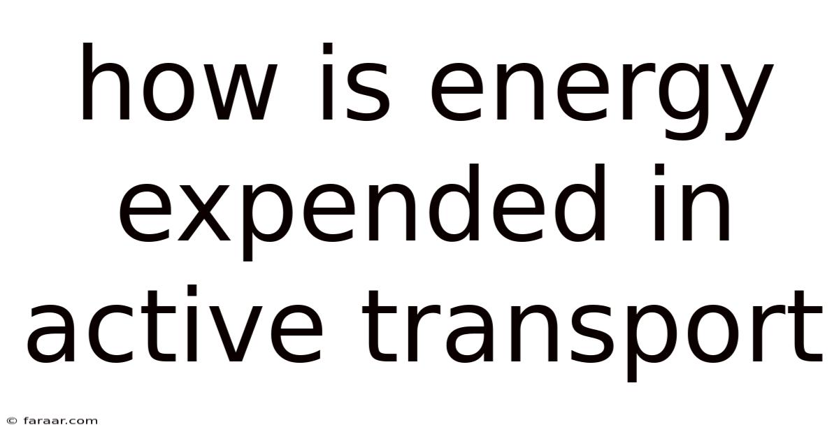 How Is Energy Expended In Active Transport