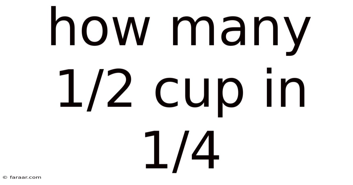 How Many 1/2 Cup In 1/4