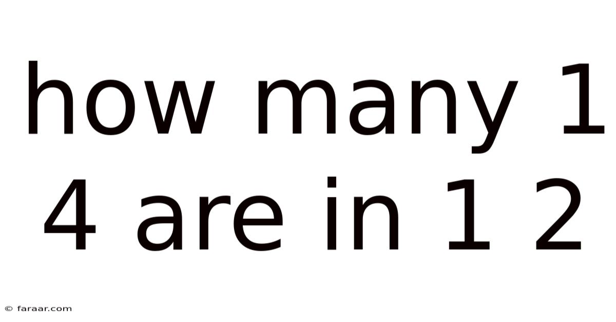 How Many 1 4 Are In 1 2