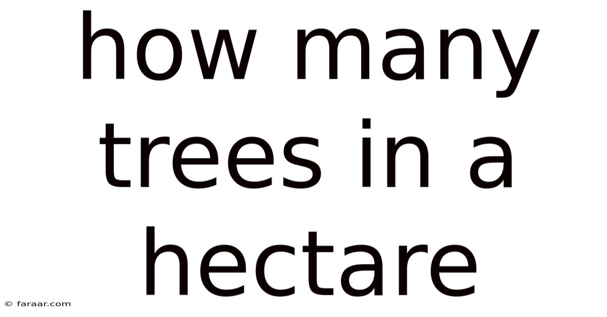 How Many Trees In A Hectare