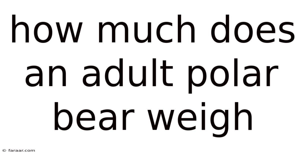 How Much Does An Adult Polar Bear Weigh