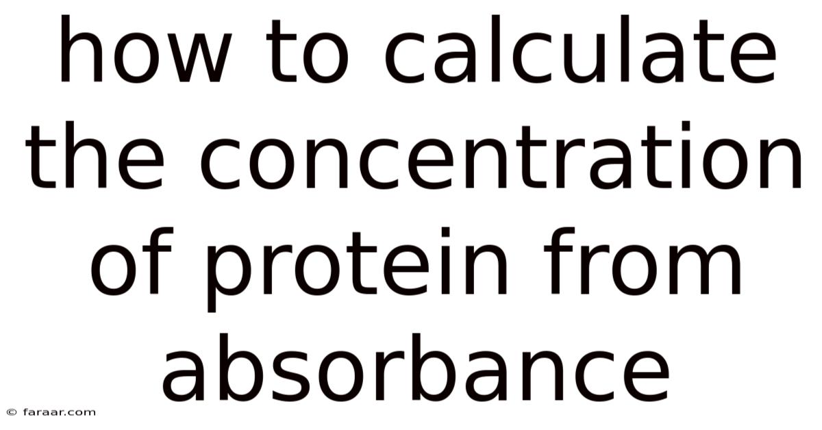 How To Calculate The Concentration Of Protein From Absorbance