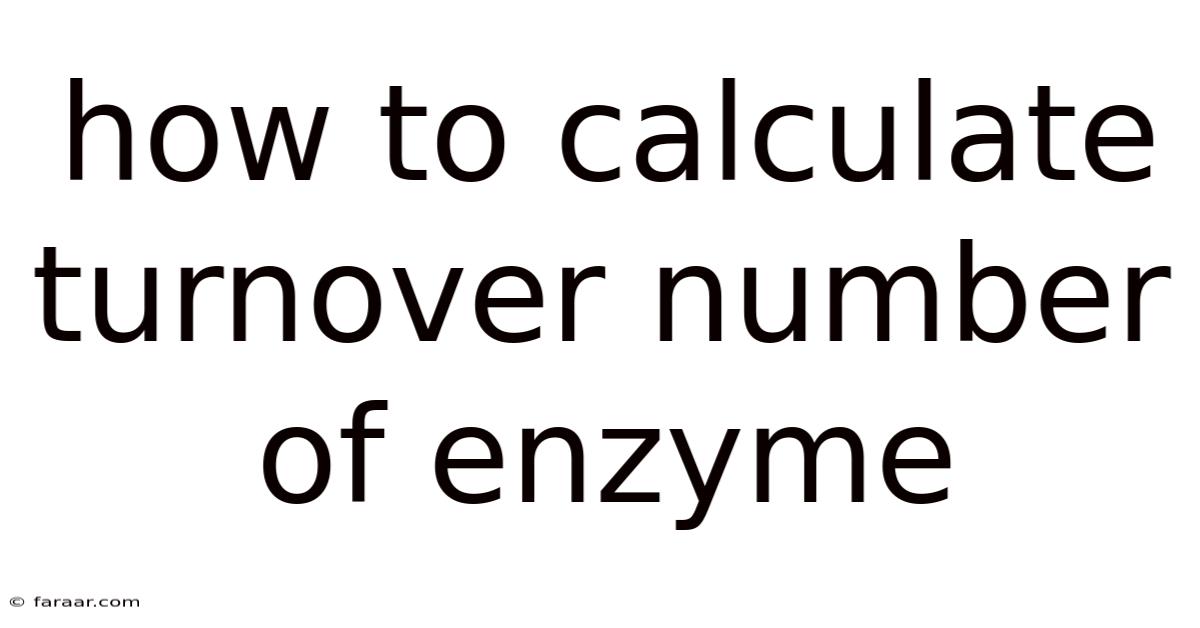 How To Calculate Turnover Number Of Enzyme