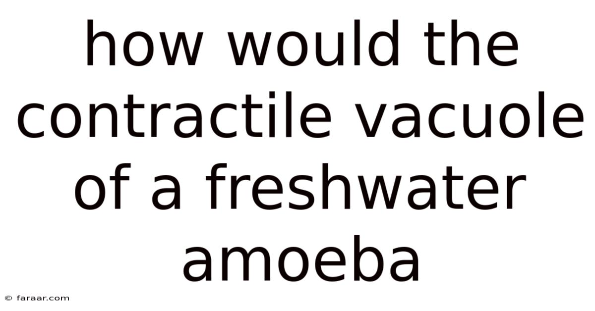 How Would The Contractile Vacuole Of A Freshwater Amoeba