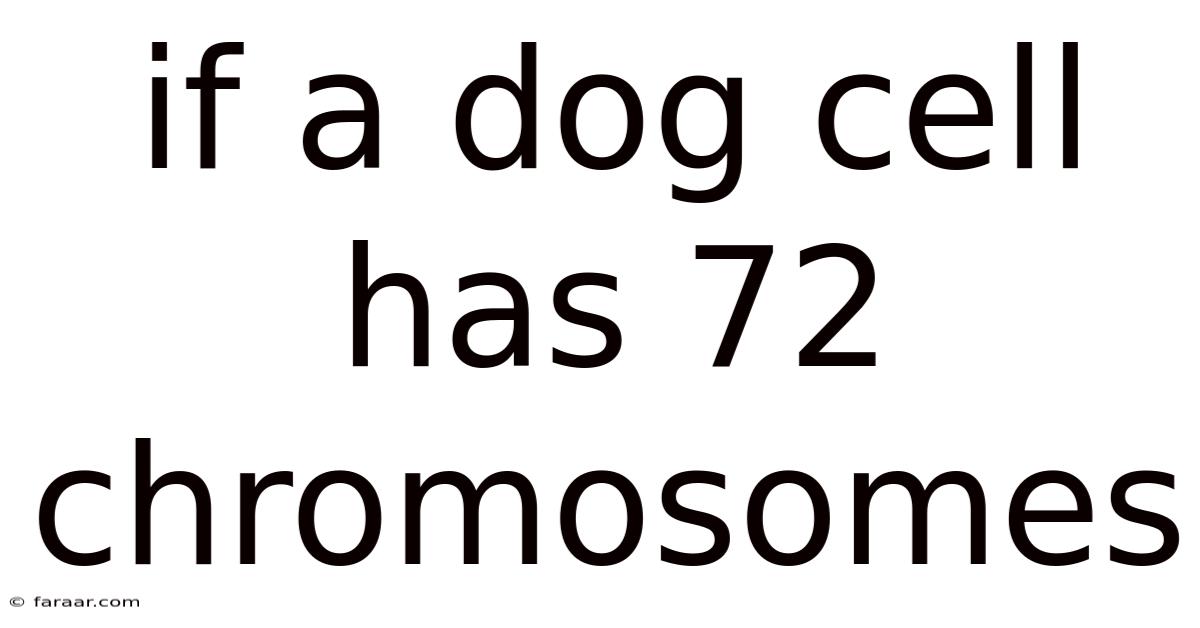 If A Dog Cell Has 72 Chromosomes