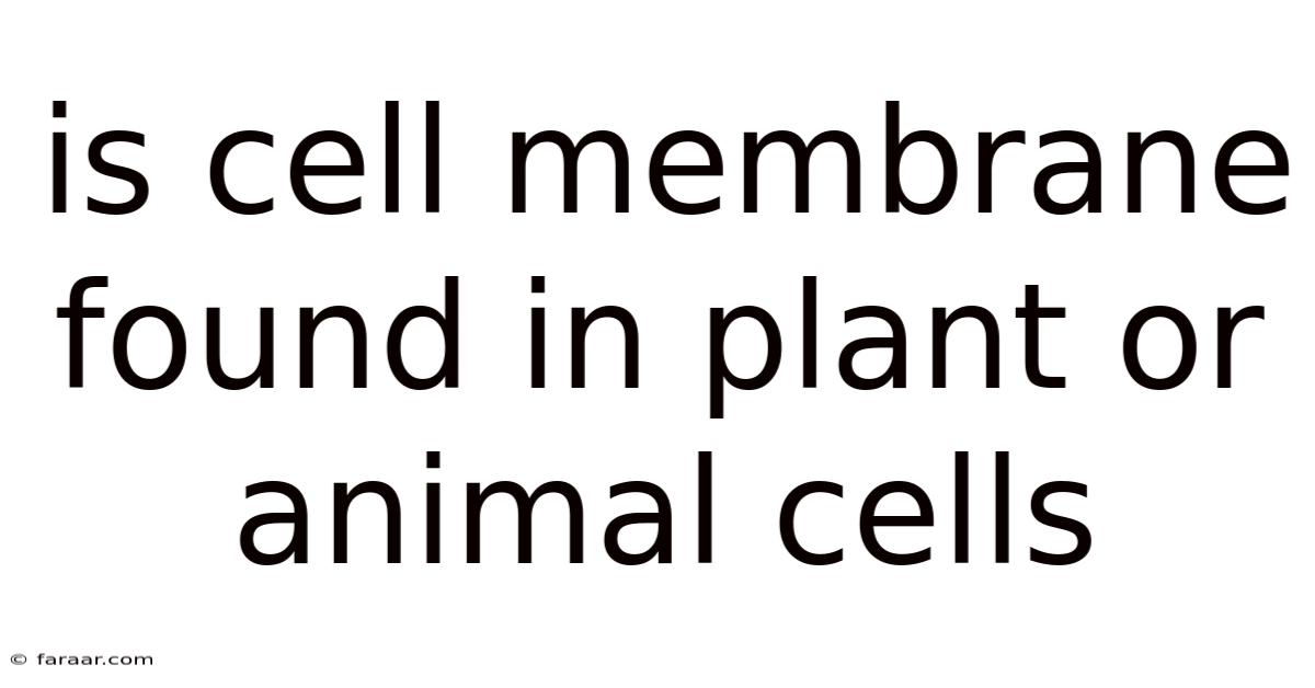Is Cell Membrane Found In Plant Or Animal Cells