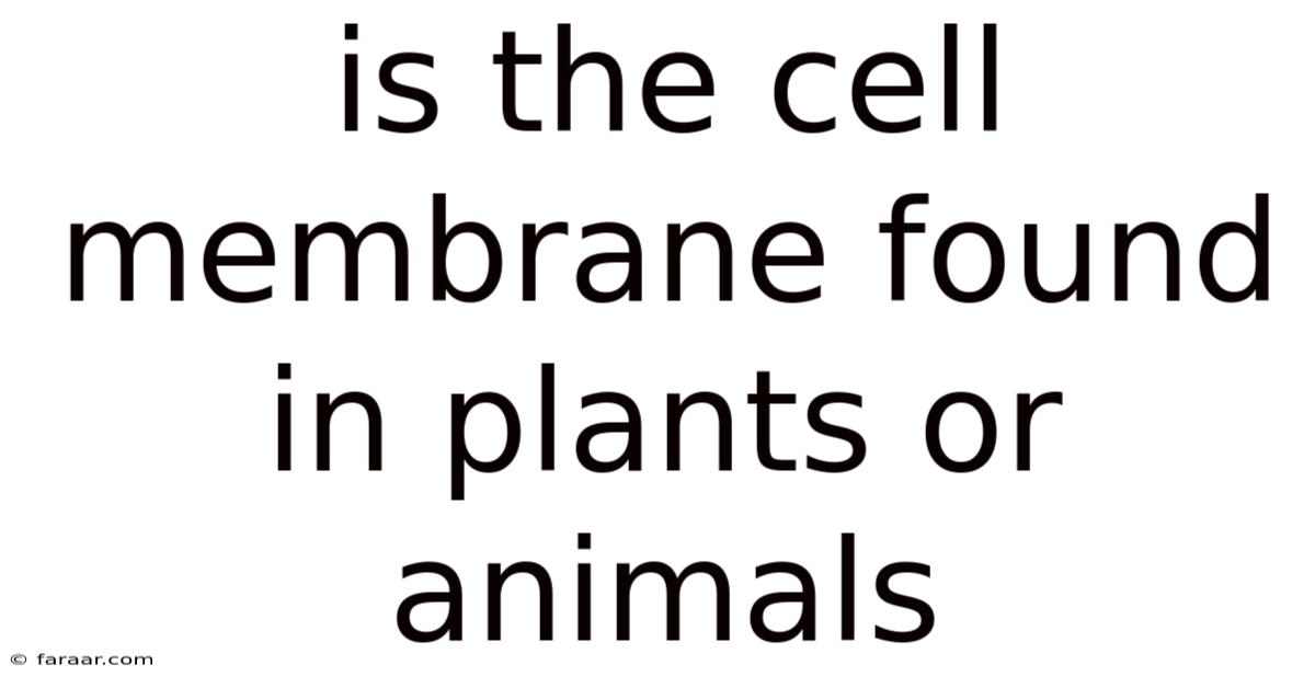 Is The Cell Membrane Found In Plants Or Animals
