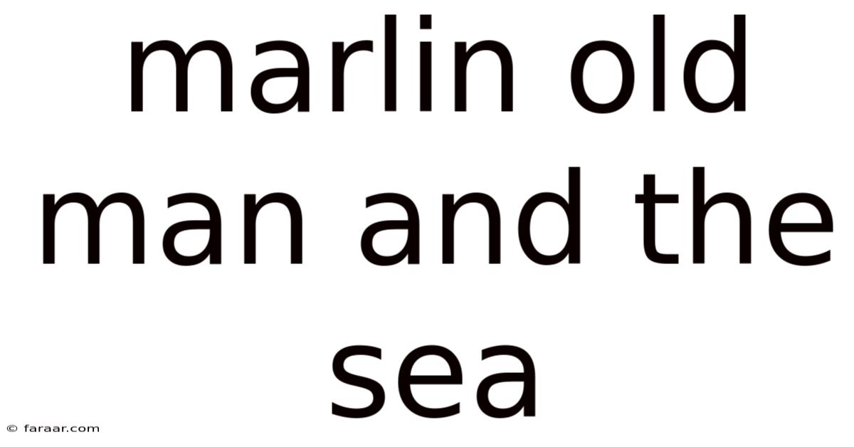 Marlin Old Man And The Sea