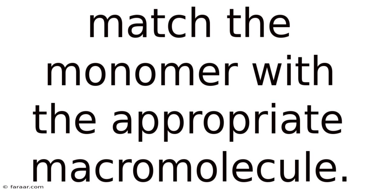 Match The Monomer With The Appropriate Macromolecule.