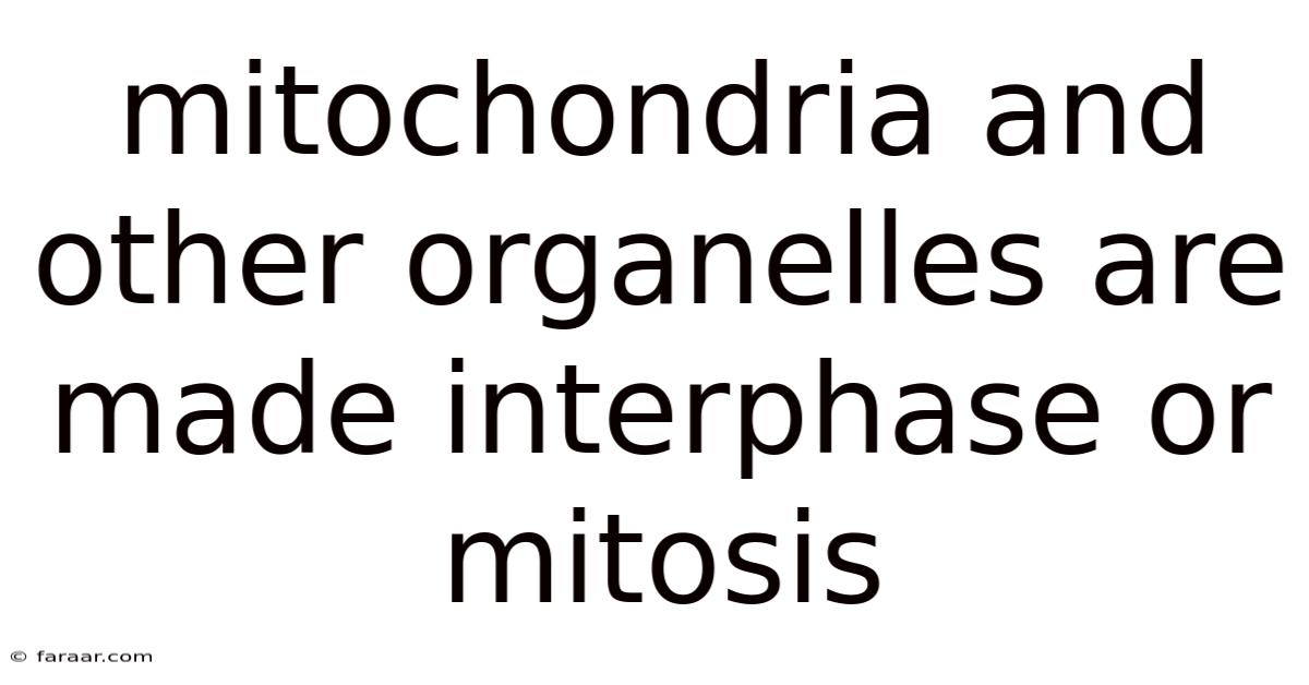 Mitochondria And Other Organelles Are Made Interphase Or Mitosis