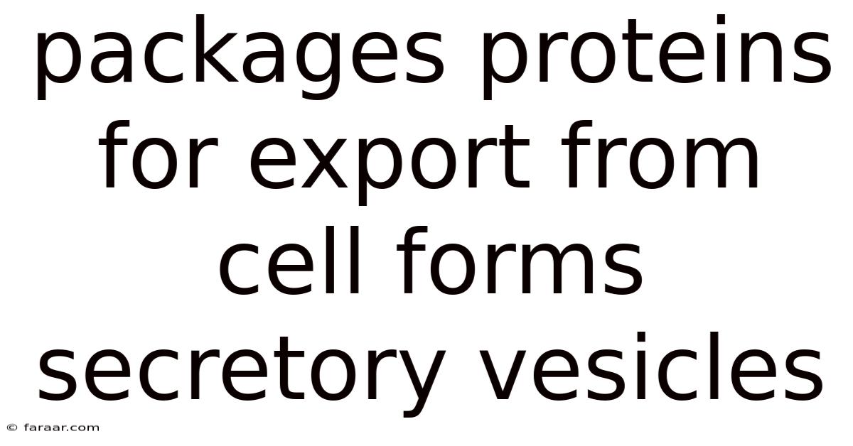 Packages Proteins For Export From Cell Forms Secretory Vesicles