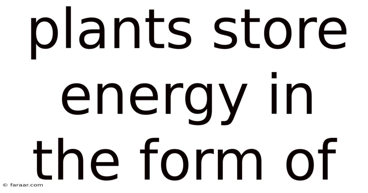 Plants Store Energy In The Form Of