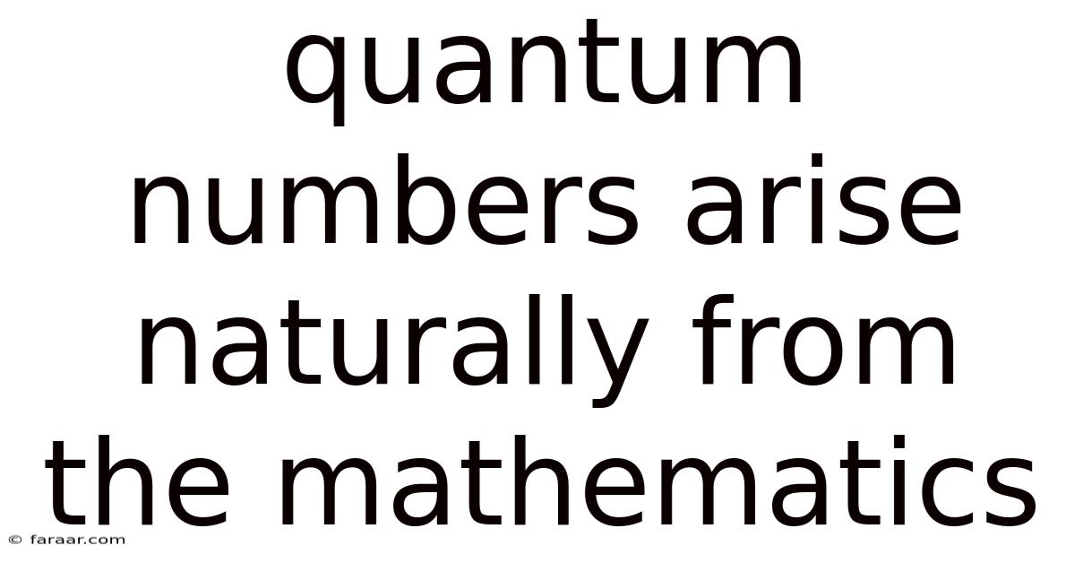 Quantum Numbers Arise Naturally From The Mathematics