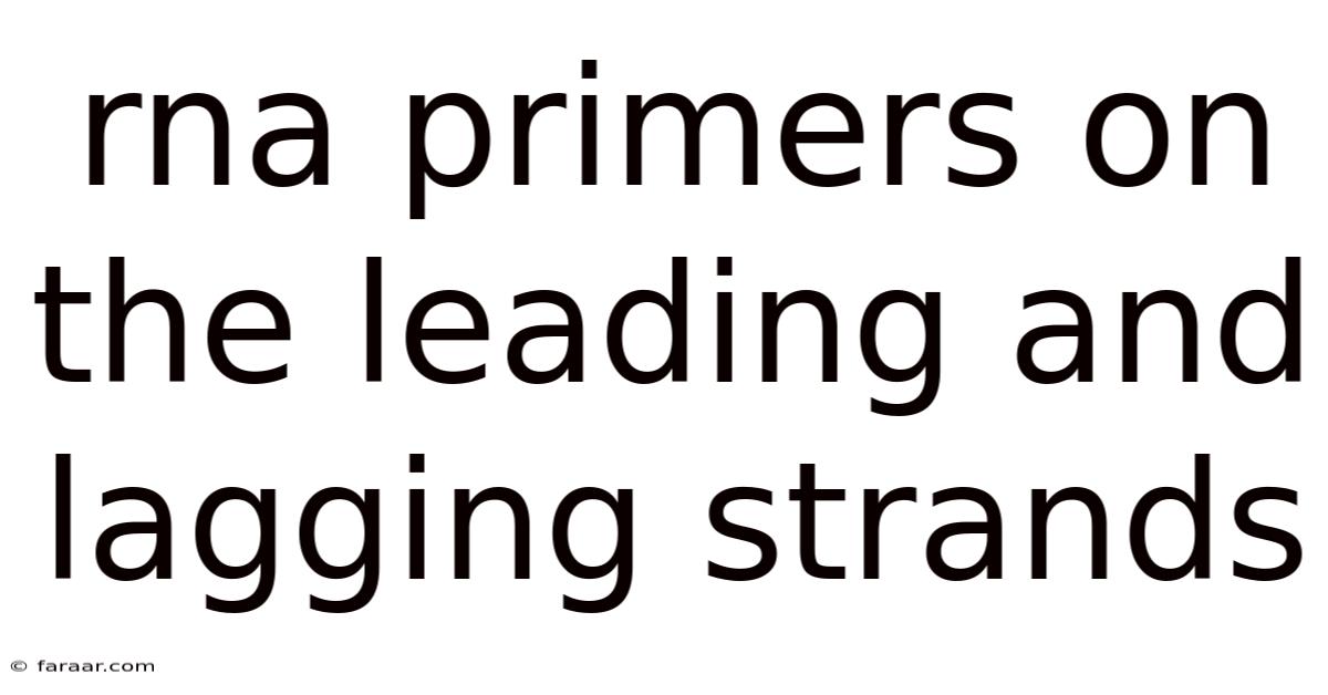 Rna Primers On The Leading And Lagging Strands