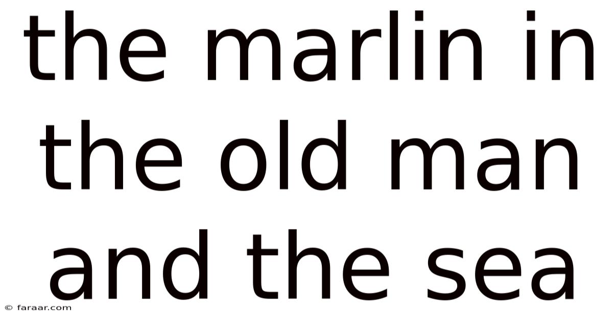 The Marlin In The Old Man And The Sea