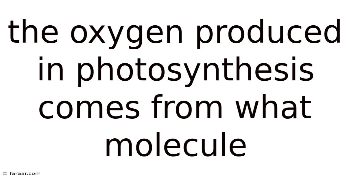 The Oxygen Produced In Photosynthesis Comes From What Molecule